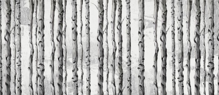 Fototapeta na ścianę Malowane brzozy 42137 - zdjęcie 2