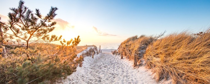 Fototapeta na ścianę Zaczarowana Plaża  42171 w słońcu - zdjęcie 2