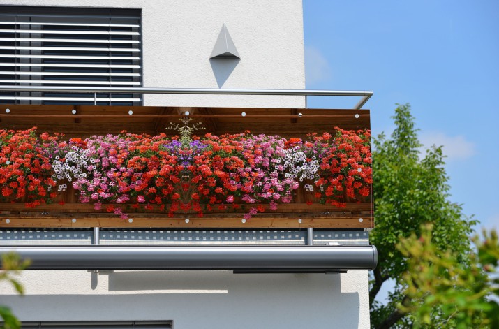 Baner ozdobny na balkon osłona dekoracyjna 67239