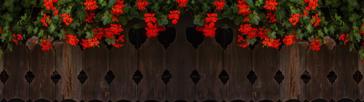 Baner ozdobny na balkon osłona dekoracyjna 67238 - zdjęcie 2