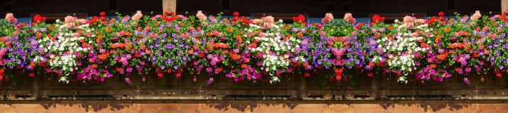 Baner ozdobny na balkon osłona dekoracyjna 67240 - zdjęcie 2