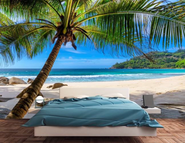 Tapeta samoprzylepna na ścianę plaża z palmą 42231