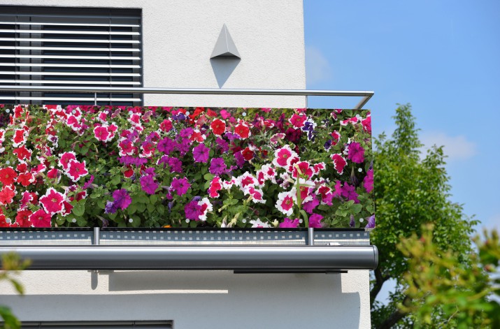 Baner ozdobny na balkon maskownica balkonowa 67255