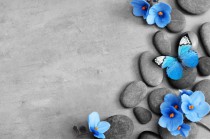 Fototapeta na ścianę niebieskie kwiaty kamienie 42227 Naklejkomania - zdjecie 2 - miniatura