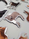 Magnesy na lodówkę zwierzęta gospodarskie magnes magnesiki farma Naklejkomania - zdjecie 3 - miniatura