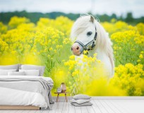 Fototapeta Biały Koń żółte kwiaty  42414 Naklejkomania - zdjecie 1 - miniatura