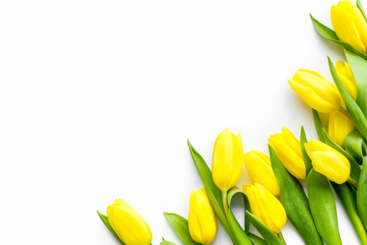 Mata magnetyczna na pralkę osłona magnetyczna tulipany 65727 - zdjęcie 2
