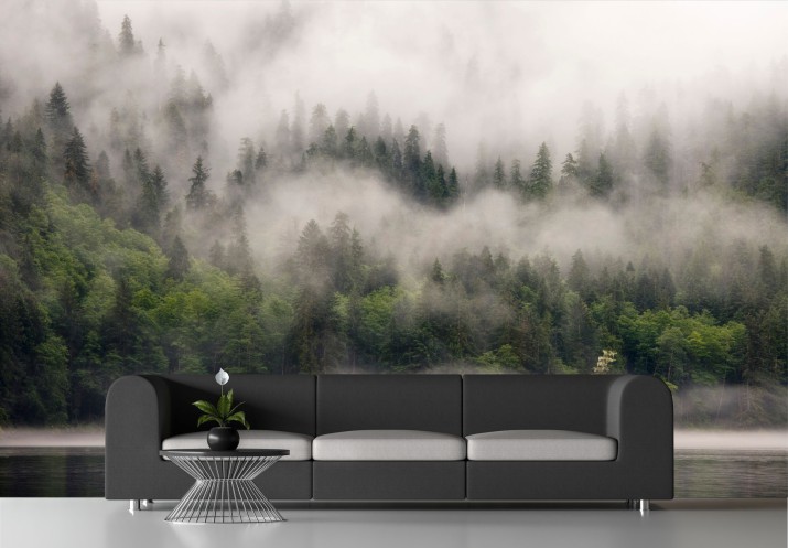 Fototapeta na ścianę Las w mgle nad brzegiem jeziora 42445