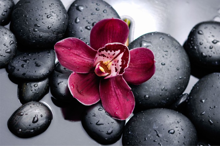 Fototapeta na ścianę Orchidea na kamieniach 42228 - zdjęcie 2