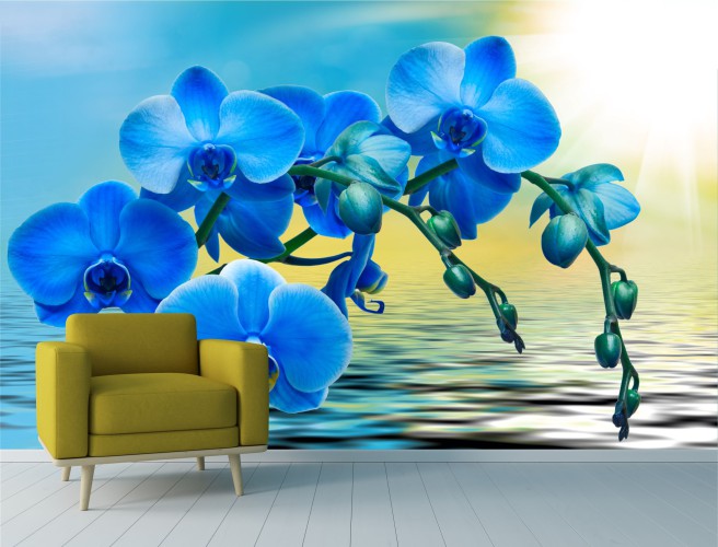 Fototapeta na ścianę Orchidea w blasku 42339