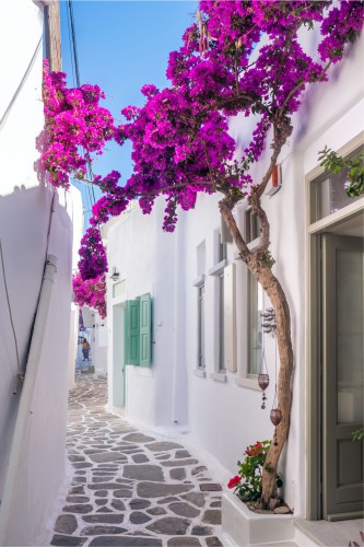 Fototapety na ścianę Uliczka kwiaty Paros 42388 - zdjęcie 2