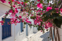 Fototapeta na ścianę uliczka Naoussa, Paros, Grecja 42384 Naklejkomania - zdjecie 2 - miniatura