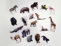 Magnesy na lodówkę zwierzęta dzikie magnes magnesiki dżungla Naklejkomania - zdjecie 2 - miniatura