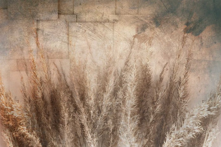 Fototapeta na ścianę natura 21102 - zdjęcie 2