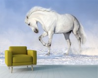 Fototapeta na ścianę Koń w galopie na śniegu 42427 Naklejkomania - zdjecie 1 - miniatura