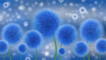 Abstrakcyjne niebieskie kwiaty Fototapeta  42459 Naklejkomania - zdjecie 2 - miniatura