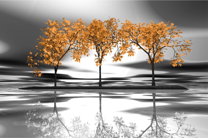 Fototapeta na ścianę Drzewo w lustrze jeziora 42208 - zdjęcie 2