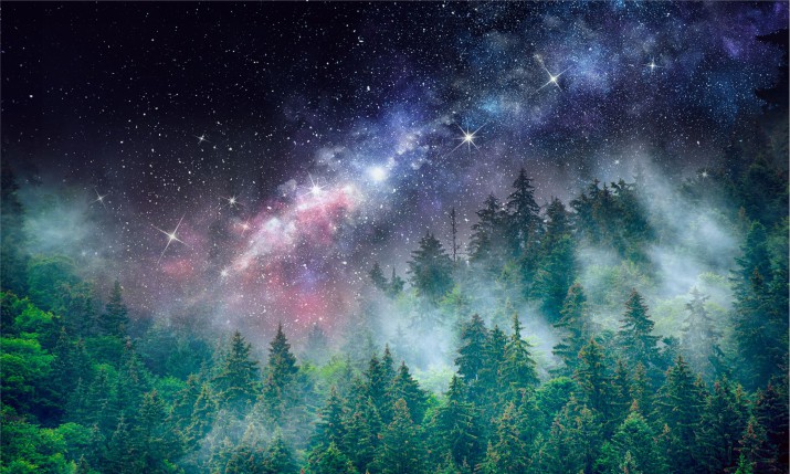 Fototapeta na ścianę las w kosmosie 26012 - zdjęcie 2