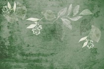 Fototapety na ścianę szarości w zieleni 41703 Naklejkomania - zdjecie 2 - miniatura