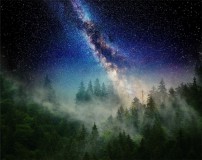 Fototapety las w mgle w blasku gwiazd 26016 Naklejkomania - zdjecie 2 - miniatura