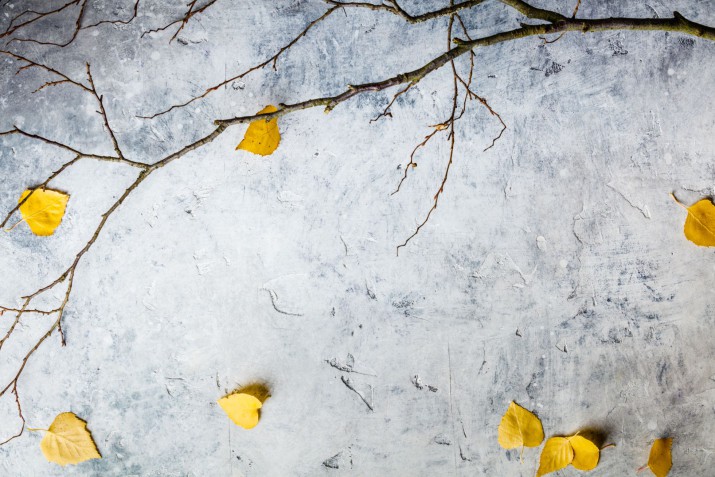 Fototapety na ścianę jesień liście beton 42548 - zdjęcie 2