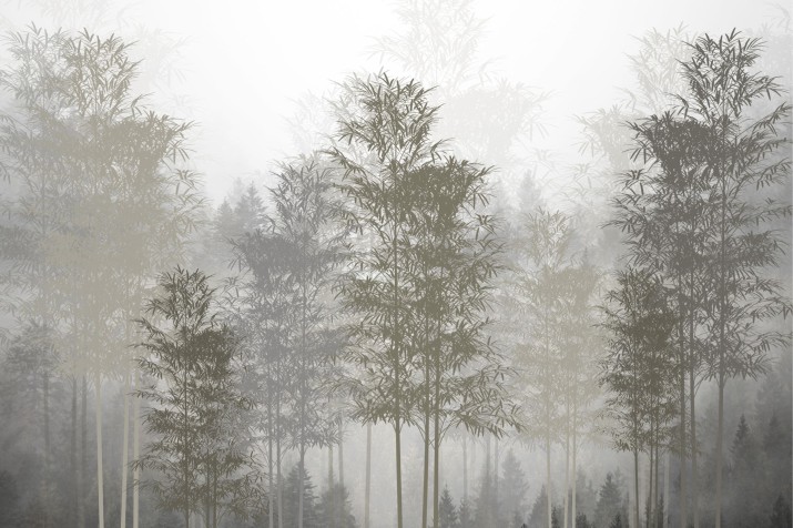 Fototapeta  na ścianę las w mgle 42522 - zdjęcie 2