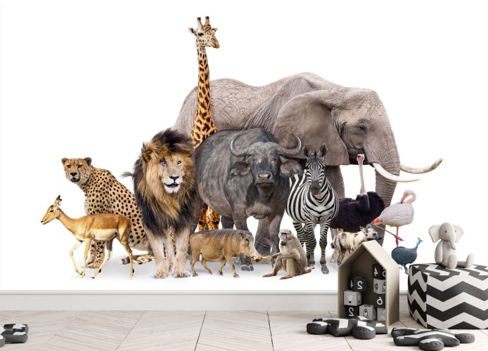 Fototapeta na ścianę safari zoo 42586