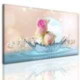 Obrazy na ściany kwiaty w kostce lodu 41857 Naklejkomania - zdjecie 1 - miniatura