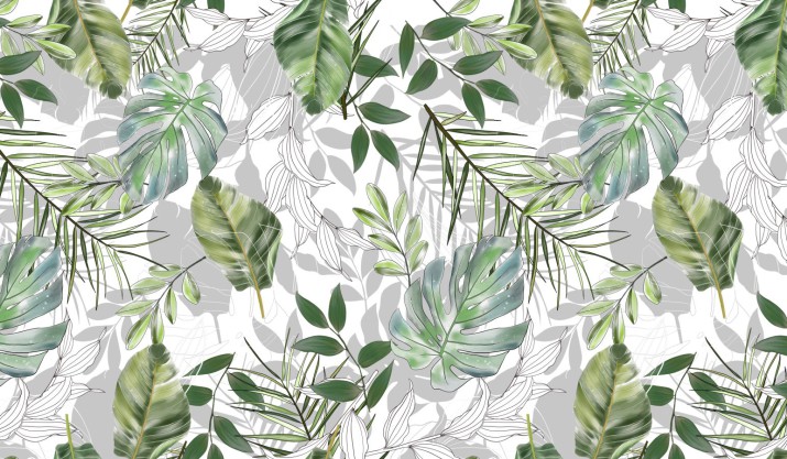 Fototapeta na ścianę liście monstera 42581 - zdjęcie 2