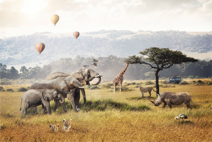 Fototapeta na ścianę Fantastyczne safari 42575 - zdjęcie 2