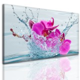 Obrazy ścienne kwiaty w wodzie 41853 Naklejkomania - zdjecie 1 - miniatura