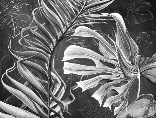 Fototapeta na ścianę  liście monstera 42603 - zdjęcie 2