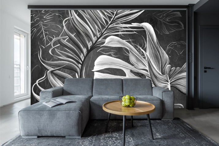 Fototapeta na ścianę  liście monstera 42603
