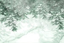 Tapety Flizelinowe ścienne aleja w mgle 42635 Naklejkomania - zdjecie 2 - miniatura