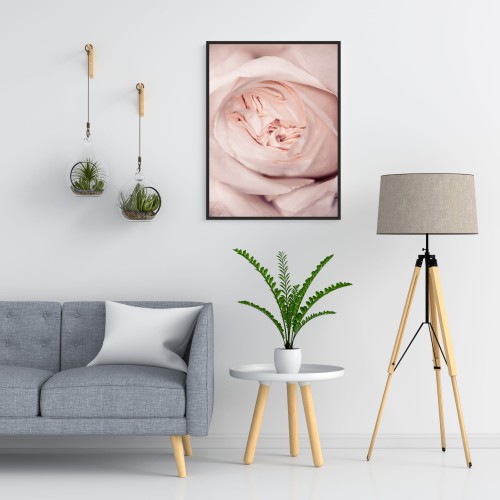 Plakat na ścianę poster plakaty ścienne z różową różą 61460 - zdjęcie 2