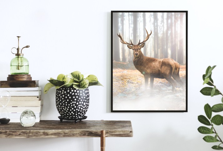 Plakat na ścianę poster jeleń 61497 - zdjęcie 2