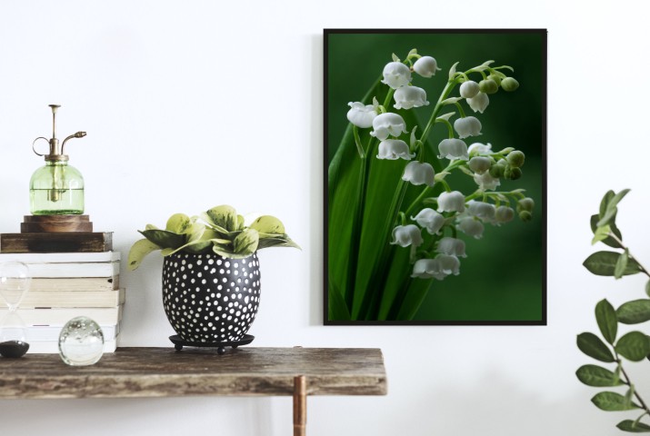 Plakat na ścianę poster plakaty ścienne konwalie 61428 - zdjęcie 2