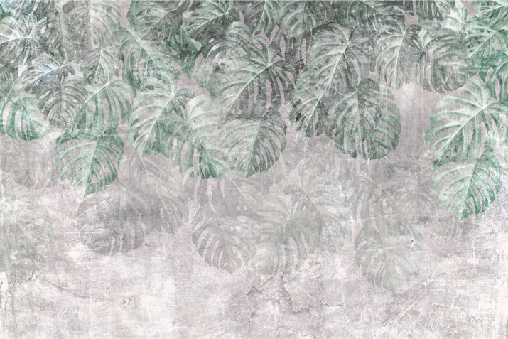 Fototapeta na ścianę zieleń monstera 42649 - zdjęcie 2
