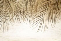 Fototapeta ścienna jesień w tropikach 42652 Naklejkomania - zdjecie 2 - miniatura