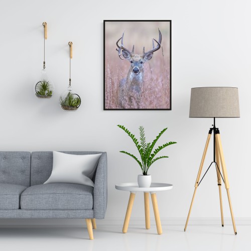 Plakat na ścianę poster jeleń 61494 - zdjęcie 2