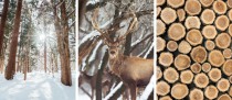 WYPRZEDAŻ 30X40 Komplet trzech plakatów zestaw posterów zimowy las KP339 Naklejkomania - zdjecie 3 - miniatura