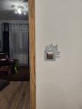 Opinia od Bogumila