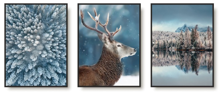 Zestaw trzech plakatów plakaty zimowa natura KP332 Naklejkomania - zdjecie 1