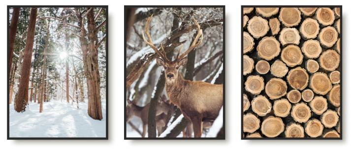 WYPRZEDAŻ 30X40 Komplet trzech plakatów zestaw posterów zimowy las KP339
