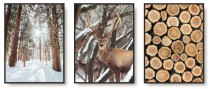 Komplet trzech plakatów zestaw posterów zimowy las KP339 Naklejkomania - zdjecie 1 - miniatura