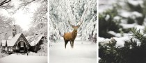 Zestaw trzech plakatów komplet posterów zimowy las KP340 Naklejkomania - zdjecie 3 - miniatura