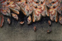 Fototapety ścienne kolorowe pióra 32040 Naklejkomania - zdjecie 2 - miniatura