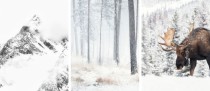 Komplet trzech plakatów zimowy pejzaż KP338 Naklejkomania - zdjecie 3 - miniatura