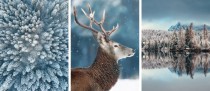 Zestaw trzech plakatów plakaty zimowa natura KP332 Naklejkomania - zdjecie 3 - miniatura