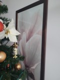 Opinia od Jolanta